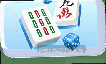 查看栏目内容
